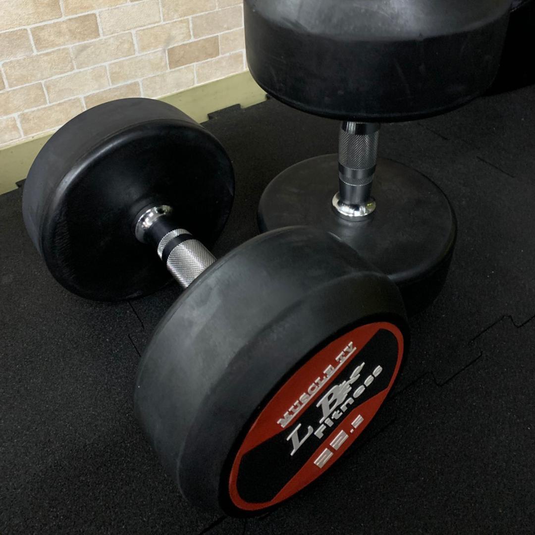 【半額販売】ラバーラウンドダンベル 20kg × 2個（合計40kg）