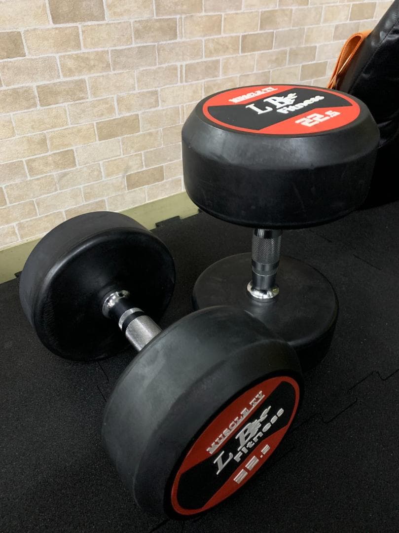 【半額販売】ラバーラウンドダンベル 20kg × 2個（合計40kg）