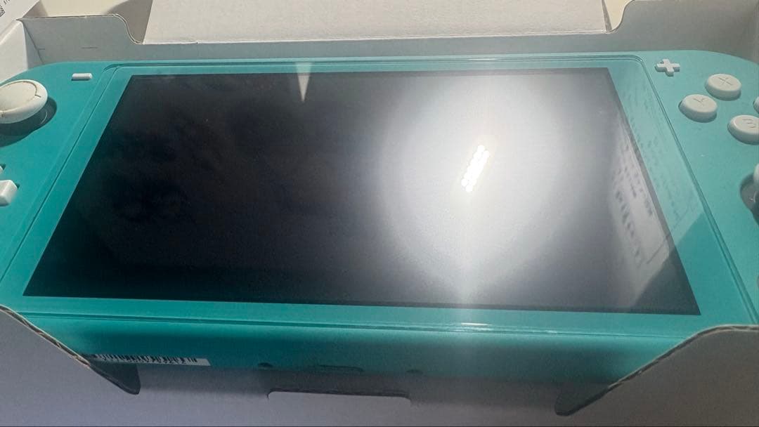 【∴ さま専用】Nintendo Switch Lite