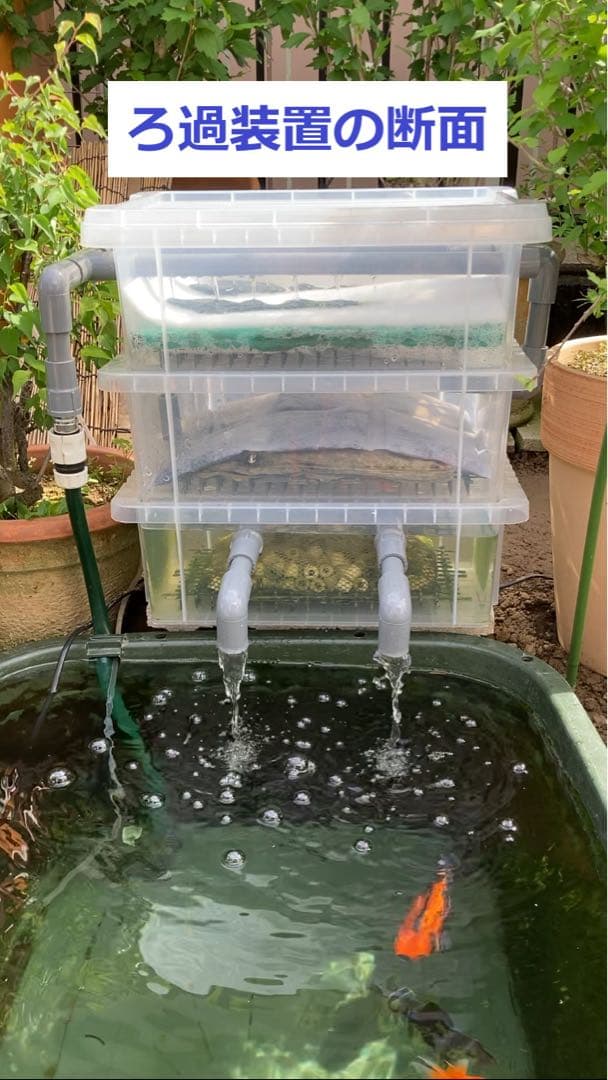 DIY】三段式外部ろ過装置（個人製作濾過装置）【メダカ・金魚・錦鯉の