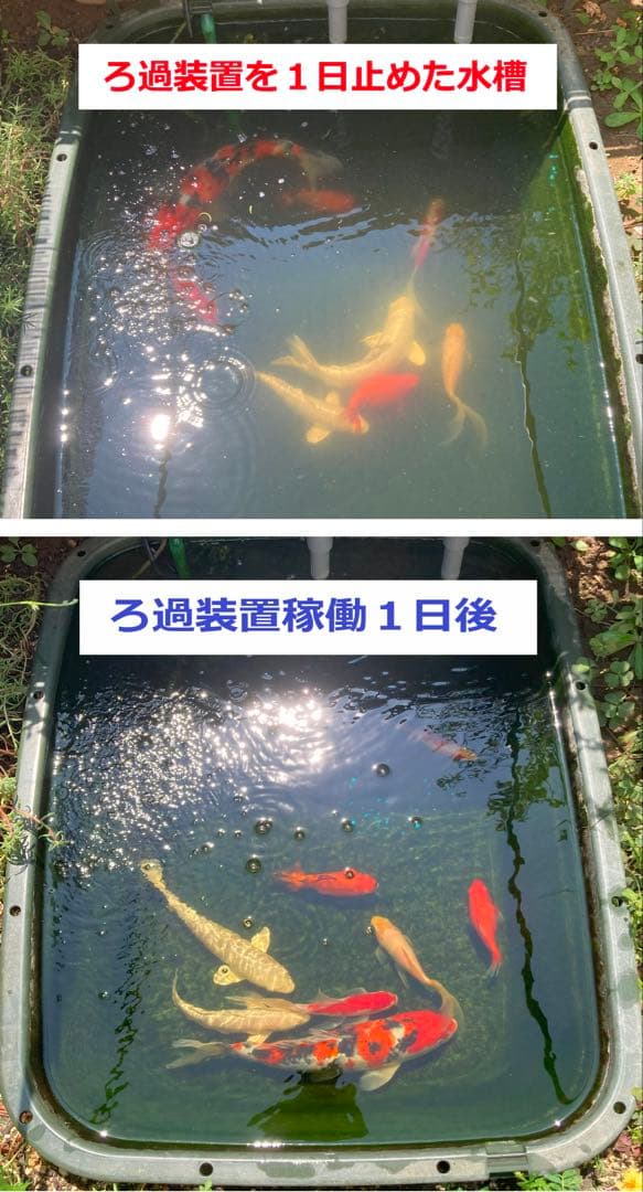 DIY】三段式外部ろ過装置（個人製作濾過装置）【メダカ・金魚・錦鯉の