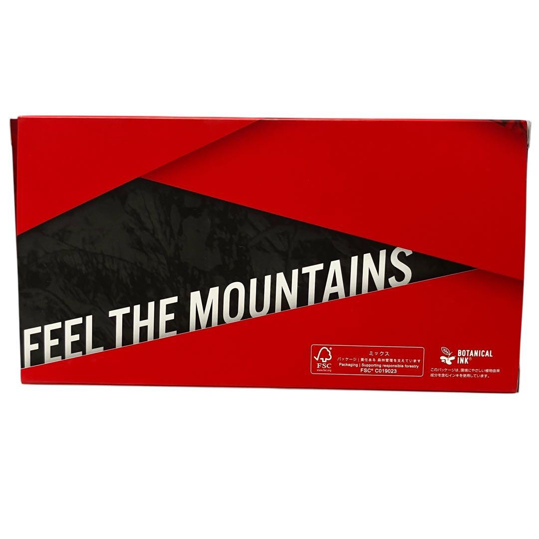 【SWANS/スワンズ】OB-MDH-CU-LP　ゴーグル/スキー/スノボ