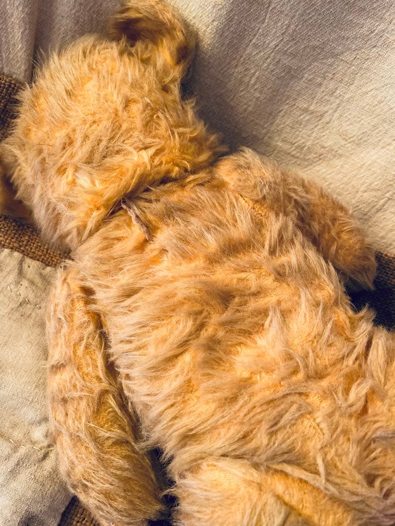 *⑅︎୨୧┈︎ イギリス　ヴィンテージベア︎ アンティークベア　┈ ୨୧⑅︎*