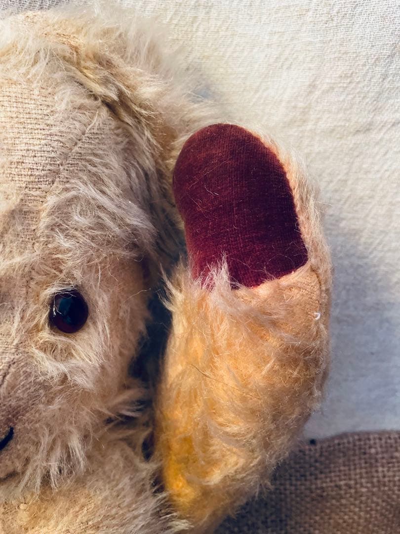 *⑅︎୨୧┈︎ イギリス　ヴィンテージベア︎ アンティークベア　┈ ୨୧⑅︎*