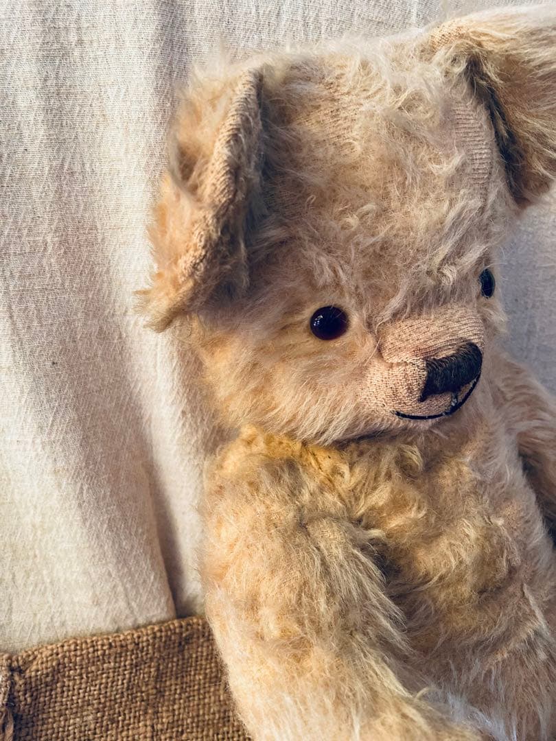 *⑅︎୨୧┈︎ イギリス　ヴィンテージベア︎ アンティークベア　┈ ୨୧⑅︎*