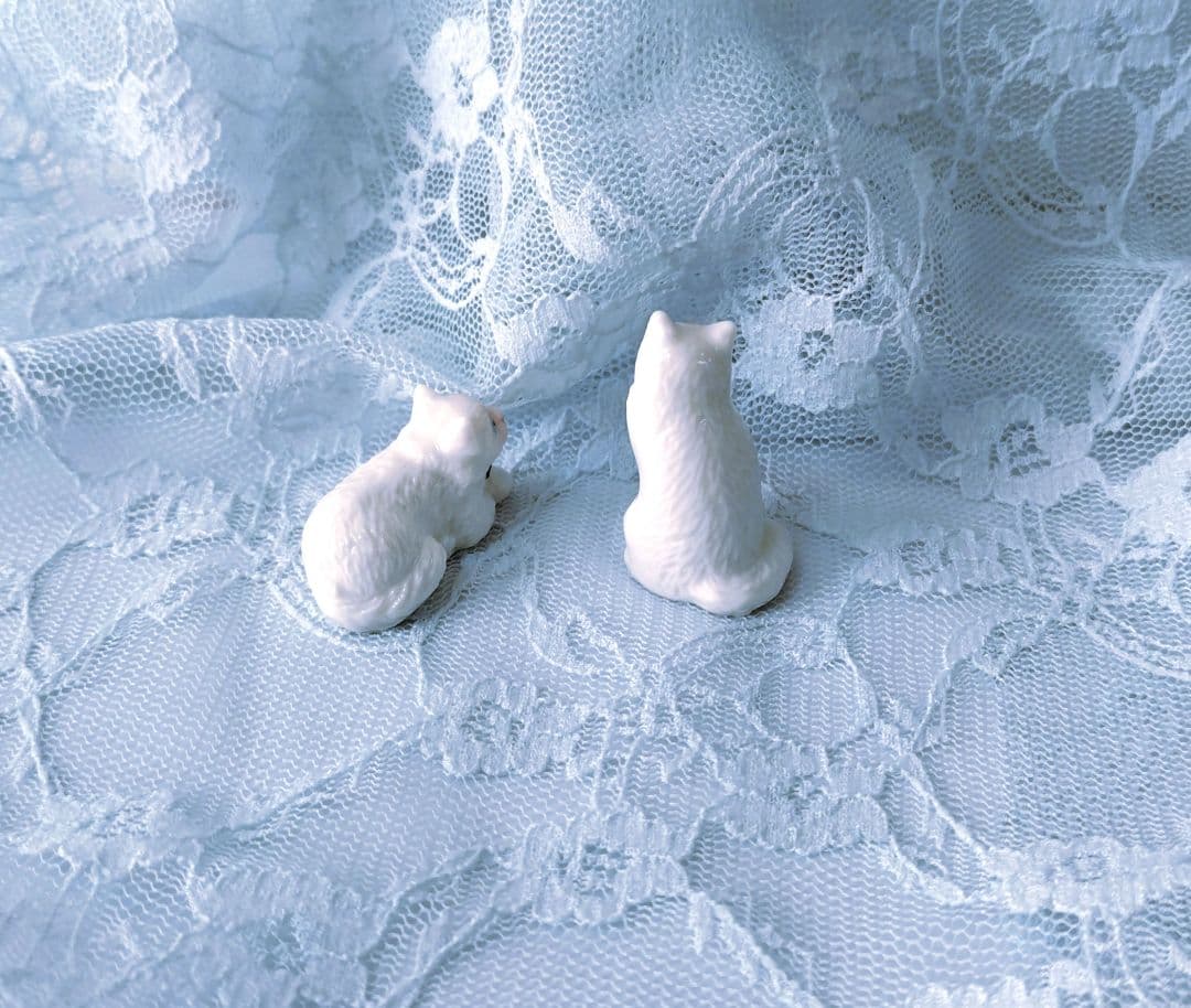 フェーブ fèves le chat de Bristol ブリストル 猫