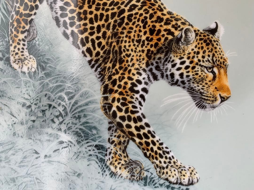 HERMES 赤道直下のスケッチヒョウの絵柄オーバルプレート♡美しい