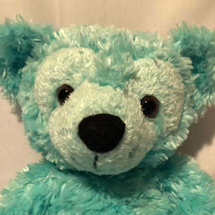 最終値下【希少/レア】WDW ディズニーベア 限定ダッフィー エメラルド