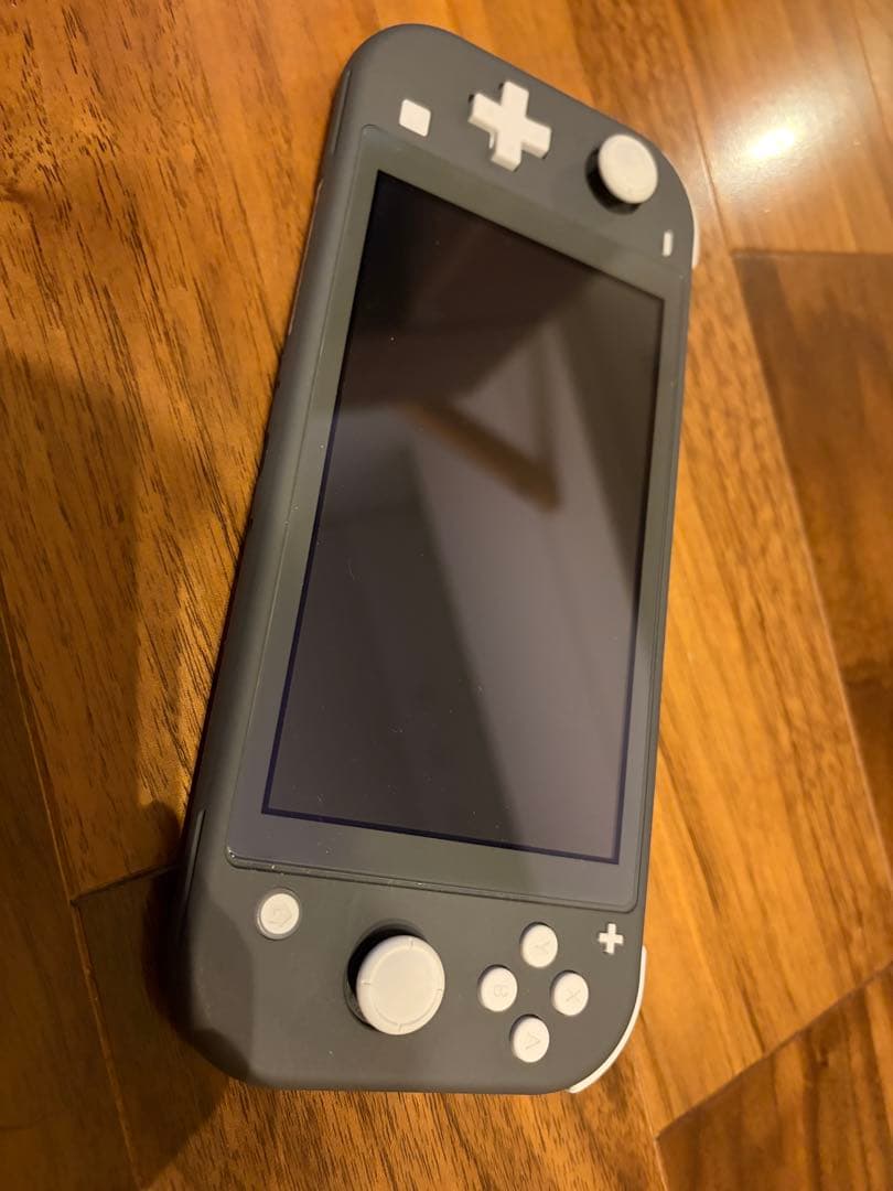 ⭐︎使用期間1ヶ月⭐︎Nintendo Switch Lite グレー 本体