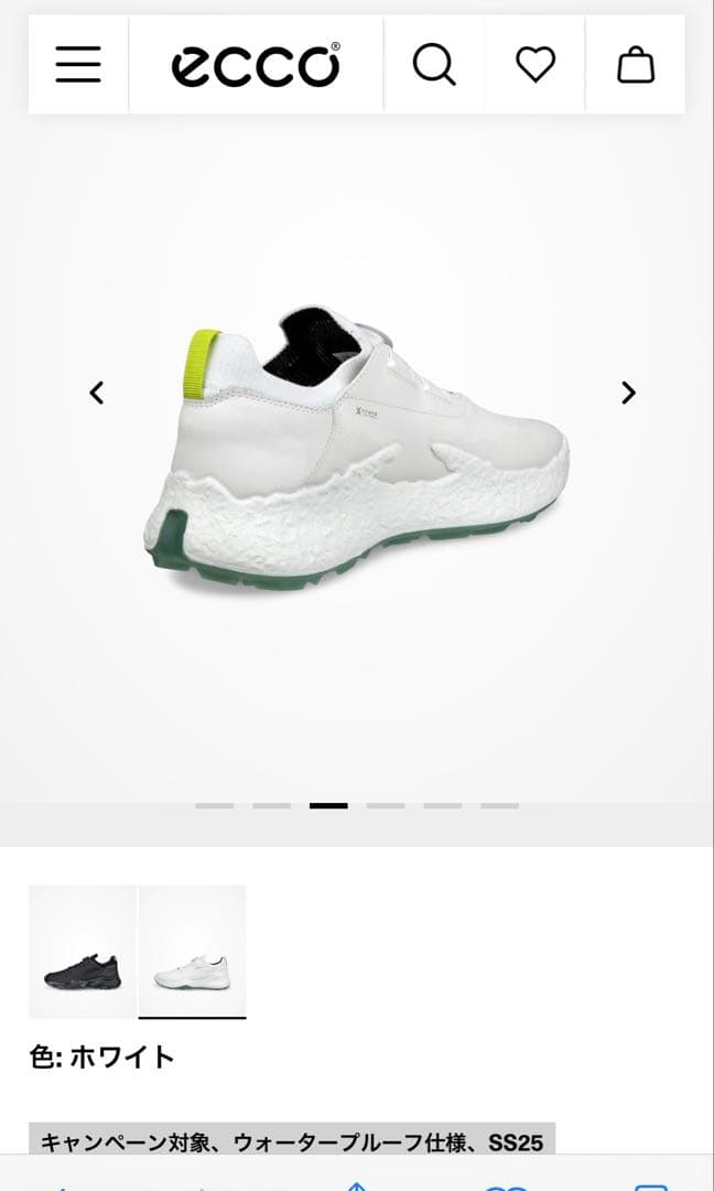 シューズ(男性用) ECCO Golf Biom H5 Hybrid Men