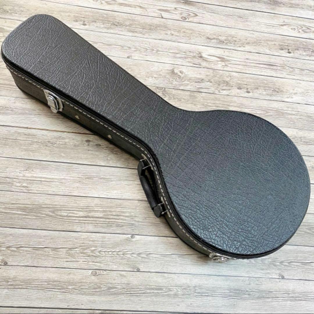 ARIA フラットマンドリン AM-20弦新品ダダリ オ交換済み