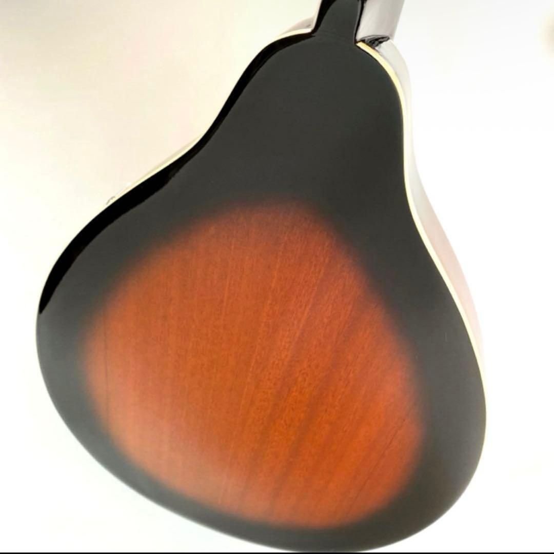 ARIA フラットマンドリン AM-20弦新品ダダリ オ交換済み