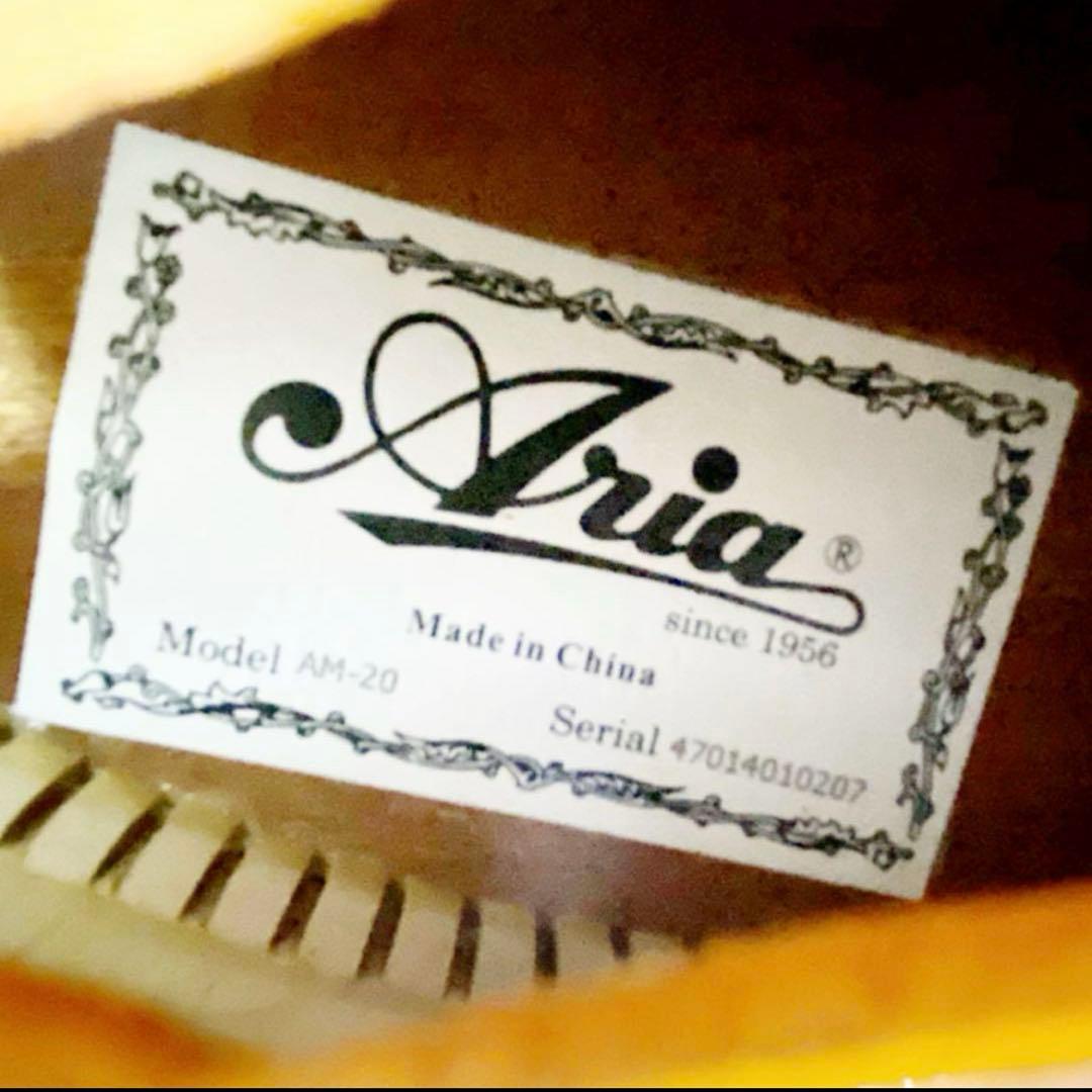 ARIA フラットマンドリン AM-20弦新品ダダリ オ交換済み