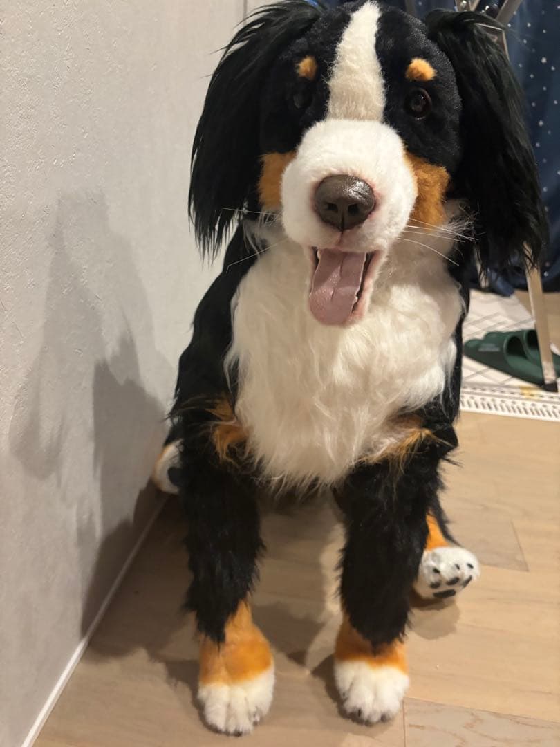 最終価格】アートドール/ぬいぐるみ/実寸大/バーニーズマウンテンドッグ