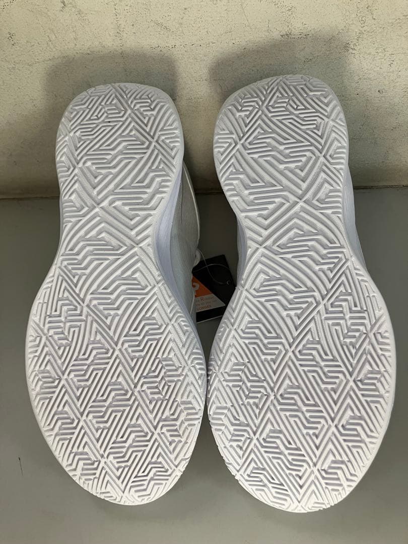 【お年玉価格】GIANNIS FREAK 6 TB EP 27.5㎝