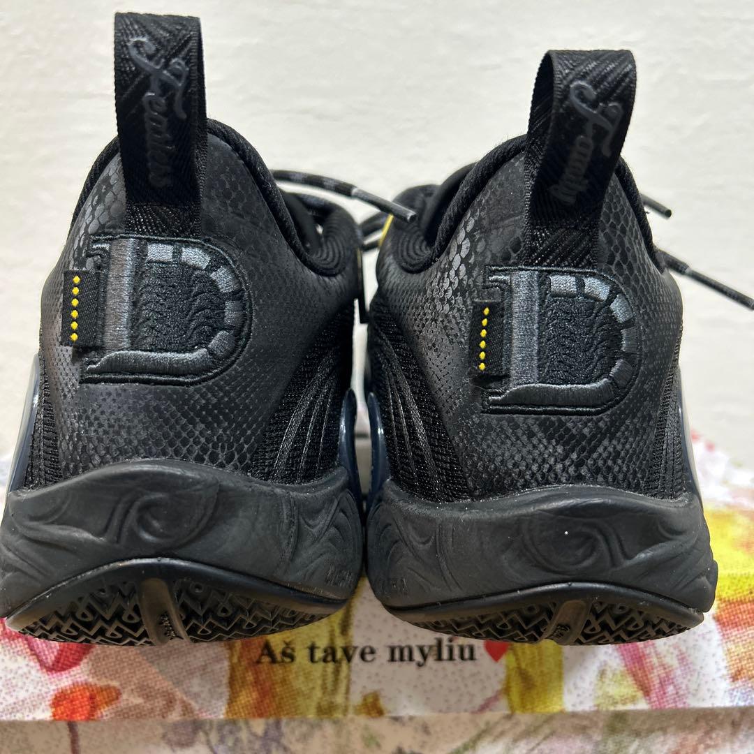 専用 リーニン DLo1 US8