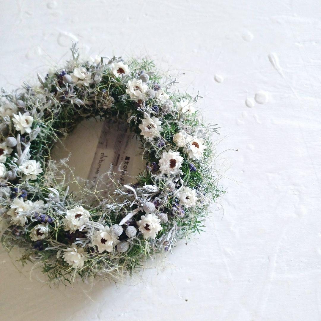 【魔女の棲む森 ～asamoya～】ドライフラワー リース