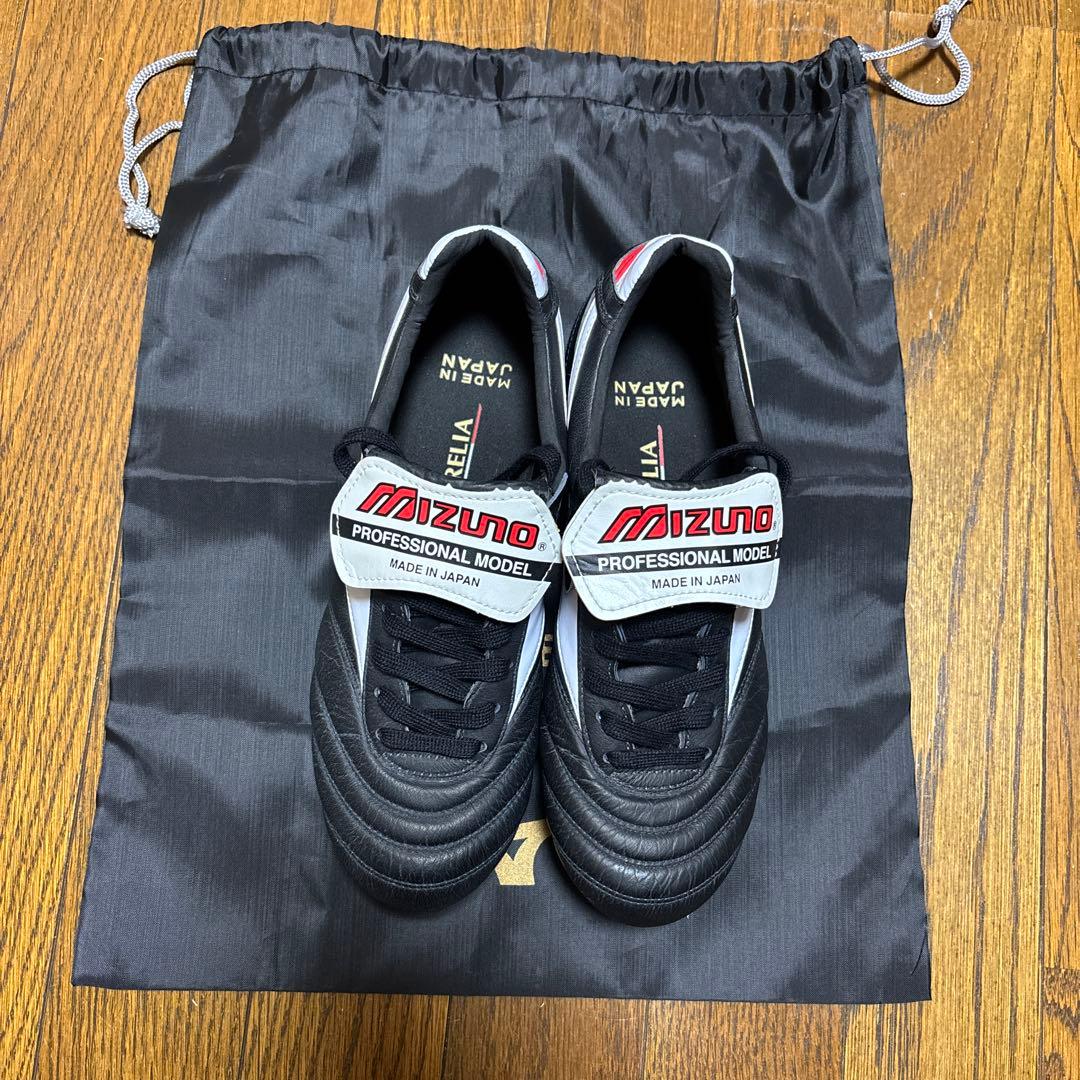 さ*あ様 モレリア2JAPAN 24.0