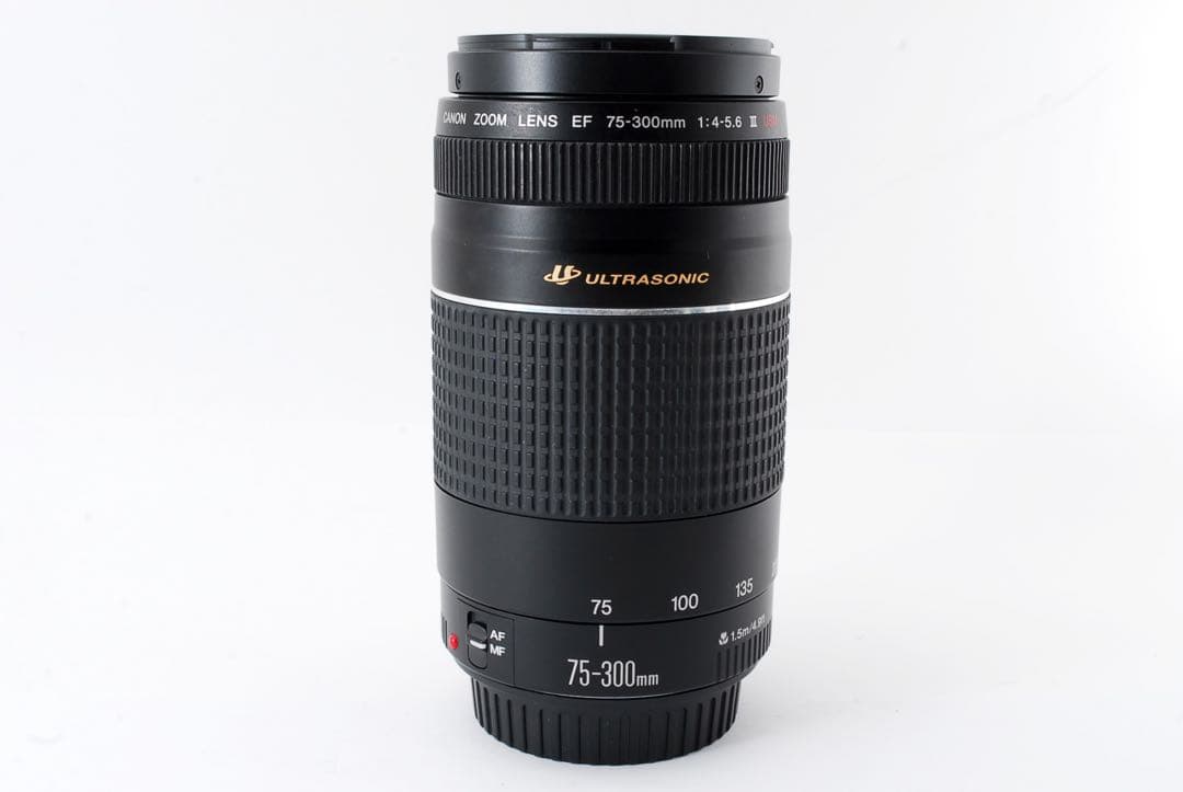 動作確認済み☆キャノン望遠レンズ☆Canon EF75-300 Ⅲ USM