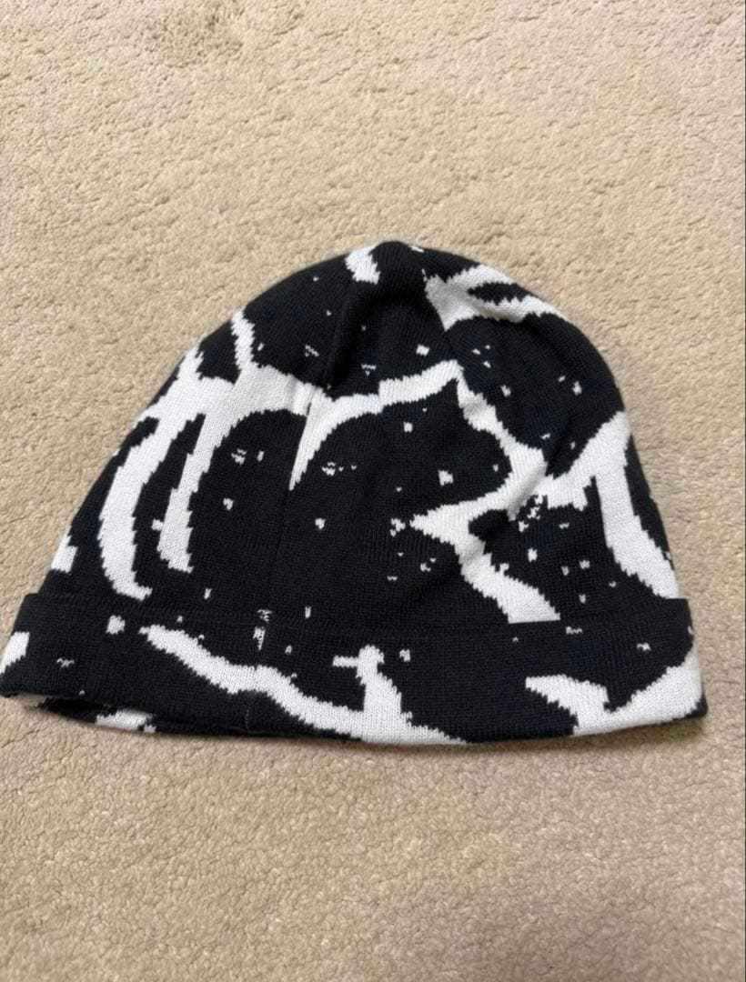 ARC'TERYX アークテリクス ビーニー 希少