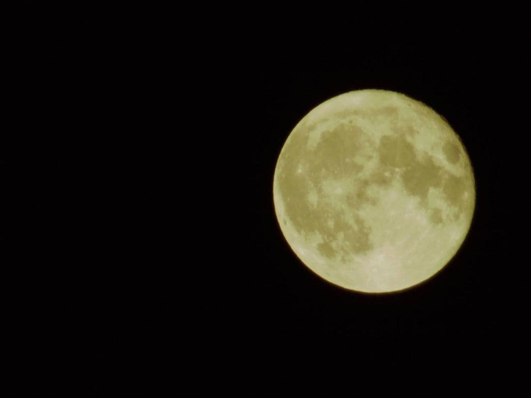 ★ Nikon AF-S DX18-200mmF3.5-5.6G ED VR美品