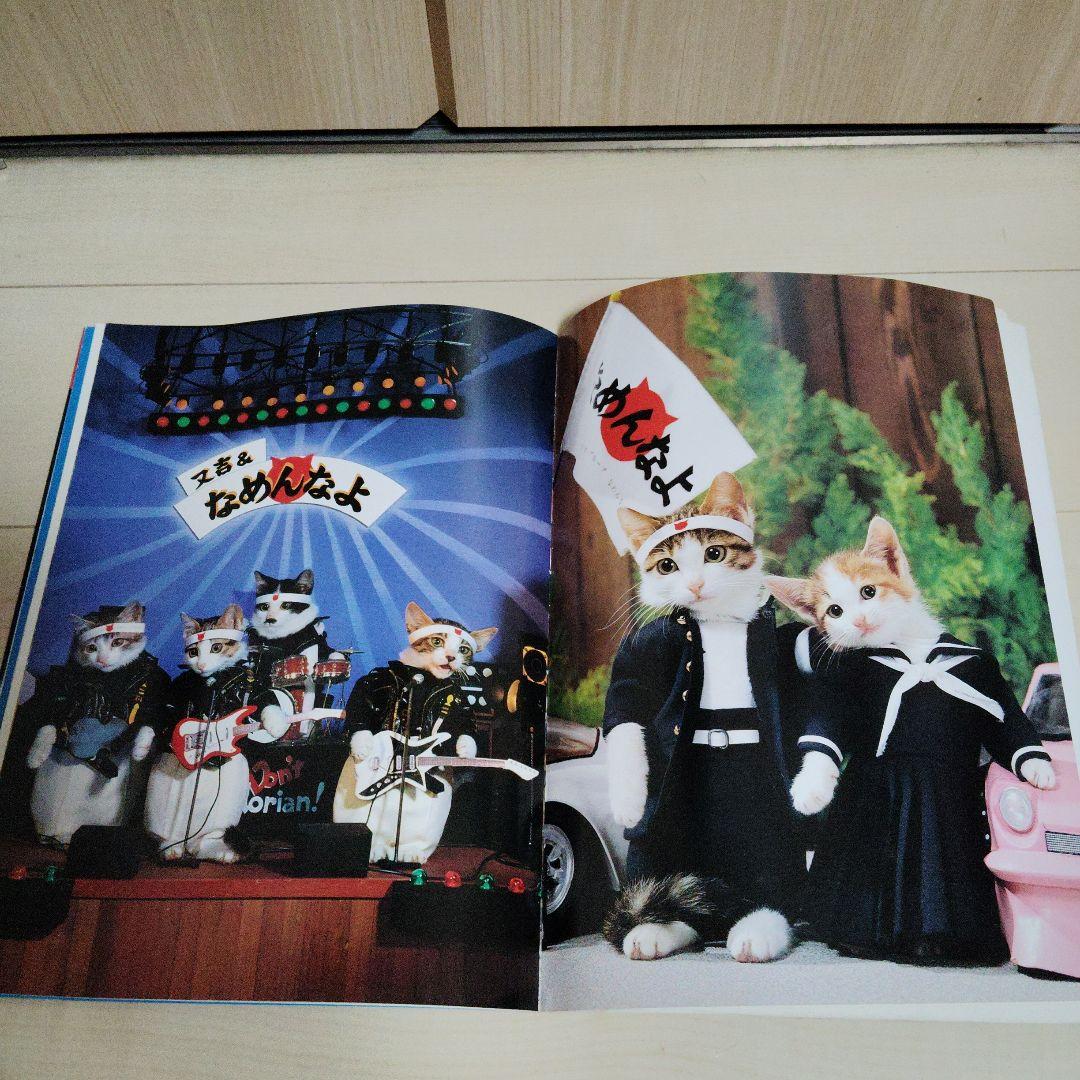 なめんなよ 大写真館 なめねこ なめ猫