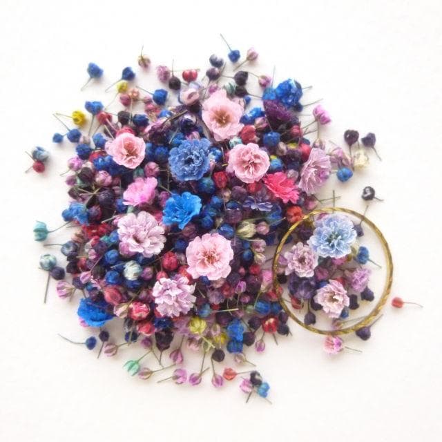 にゃーにゃ様◇【ドライフラワー】かすみ草の蕾 着色（843 レジン）の