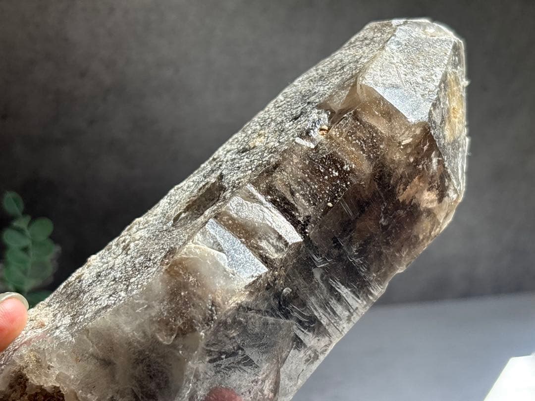 《ブラジル産＊スモーキーエレスチャル＊水入りダブルポイント》