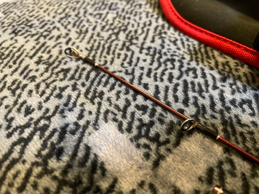 フィッシュマン beams blancsierra 5.2UL