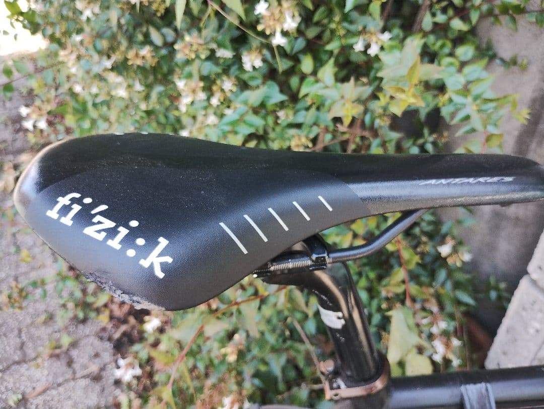 ザ パワー　フジフェザー