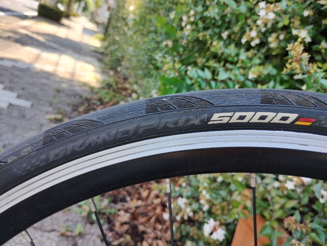 ザ パワー　フジフェザー