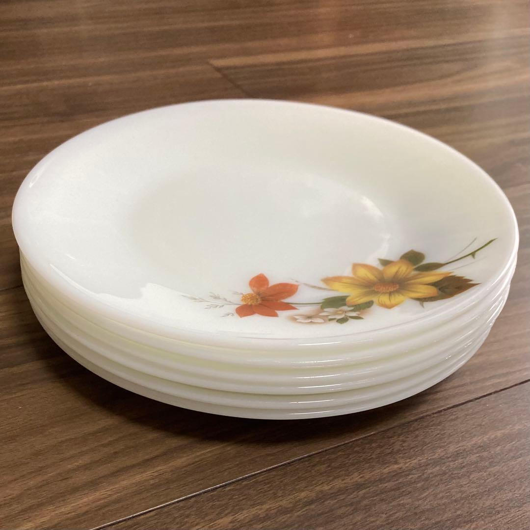 JAJパイレックス オータムグローリーシリーズ ディナープレート 6枚