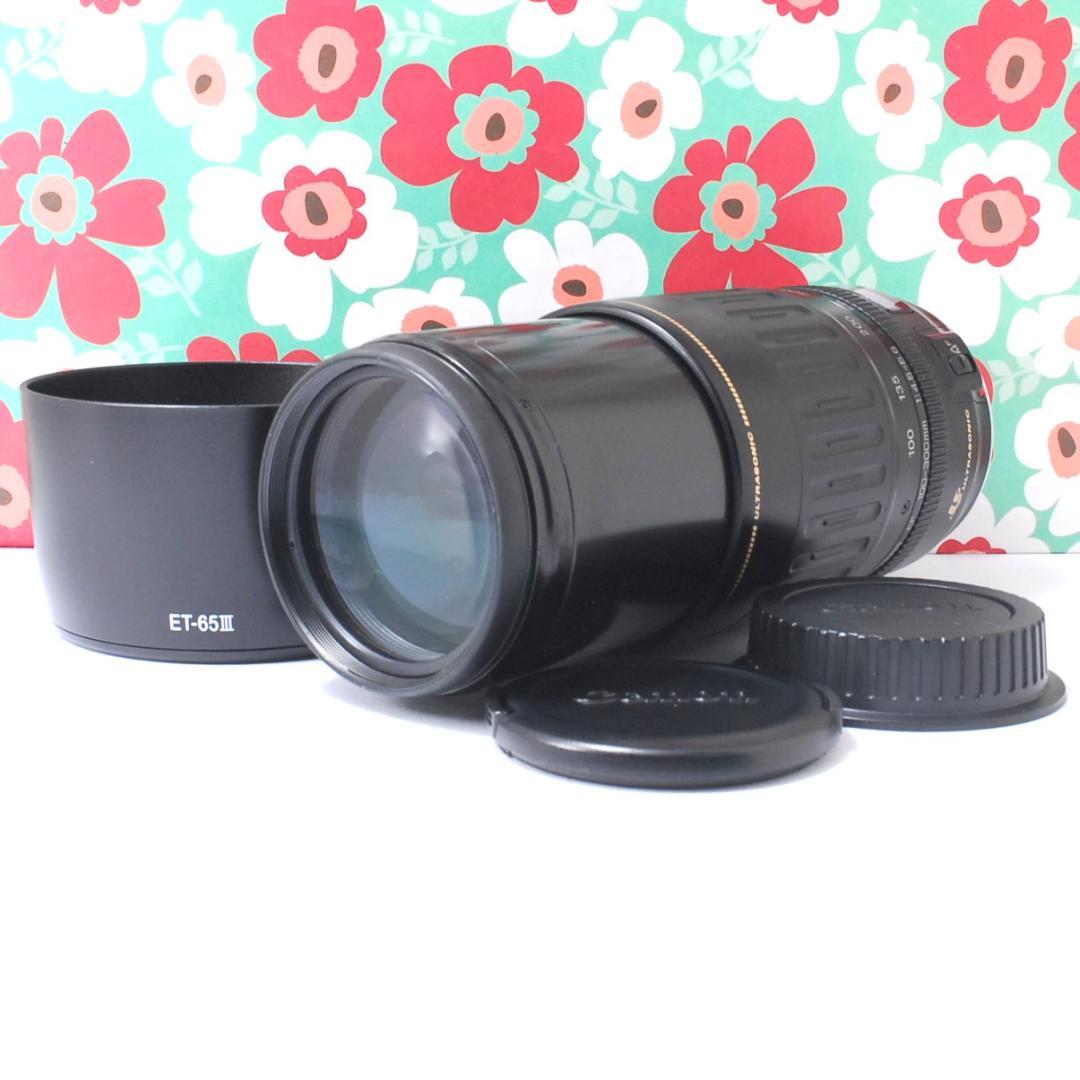 Nikon NIKKOR Z 24-120mm f/4 S Lens ราคา เลนส์คุณภาพสูงสำหรับการถ่