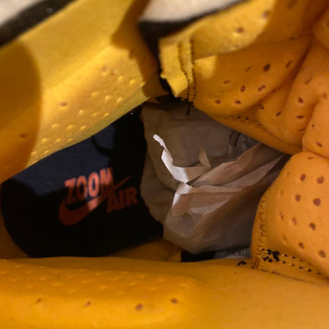 エアジョーダン1 ズーム コンフォート \"チリレッド\" 28.5