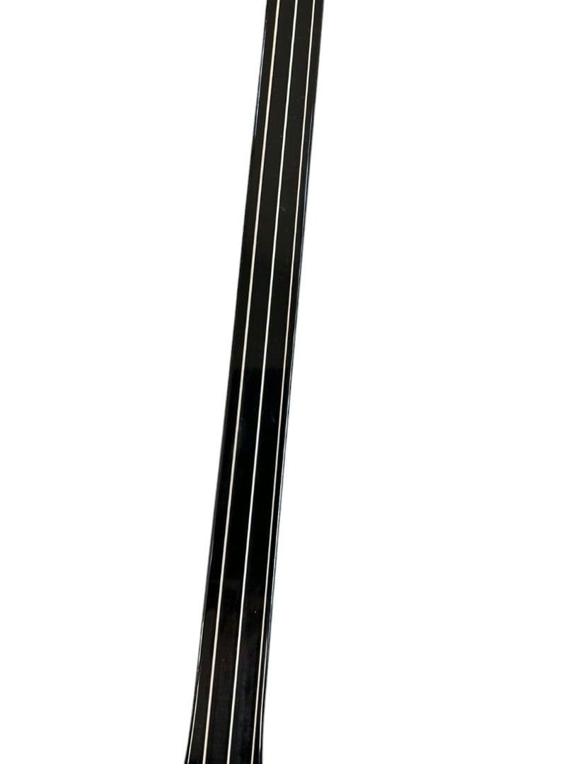 沖縄三線 ヘビ柄 ソフトケース付き