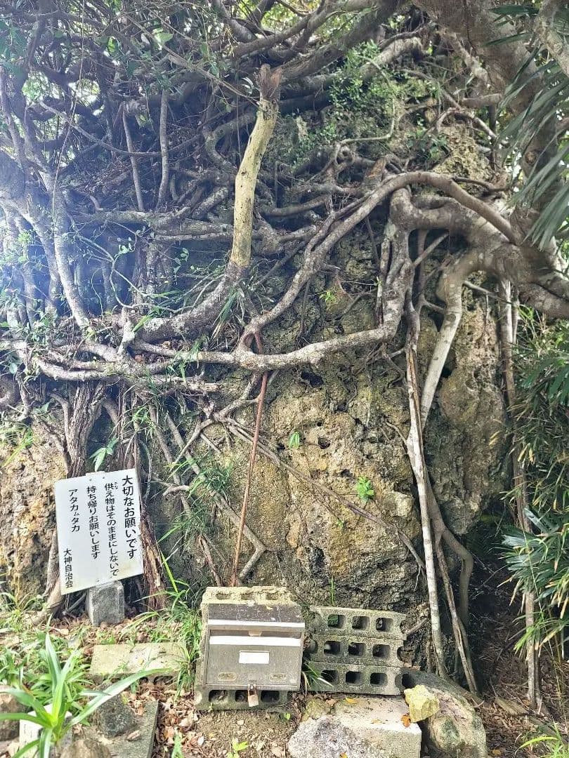 応援多数低価格感謝★金運上昇幸せ幸運のオルゴプレート