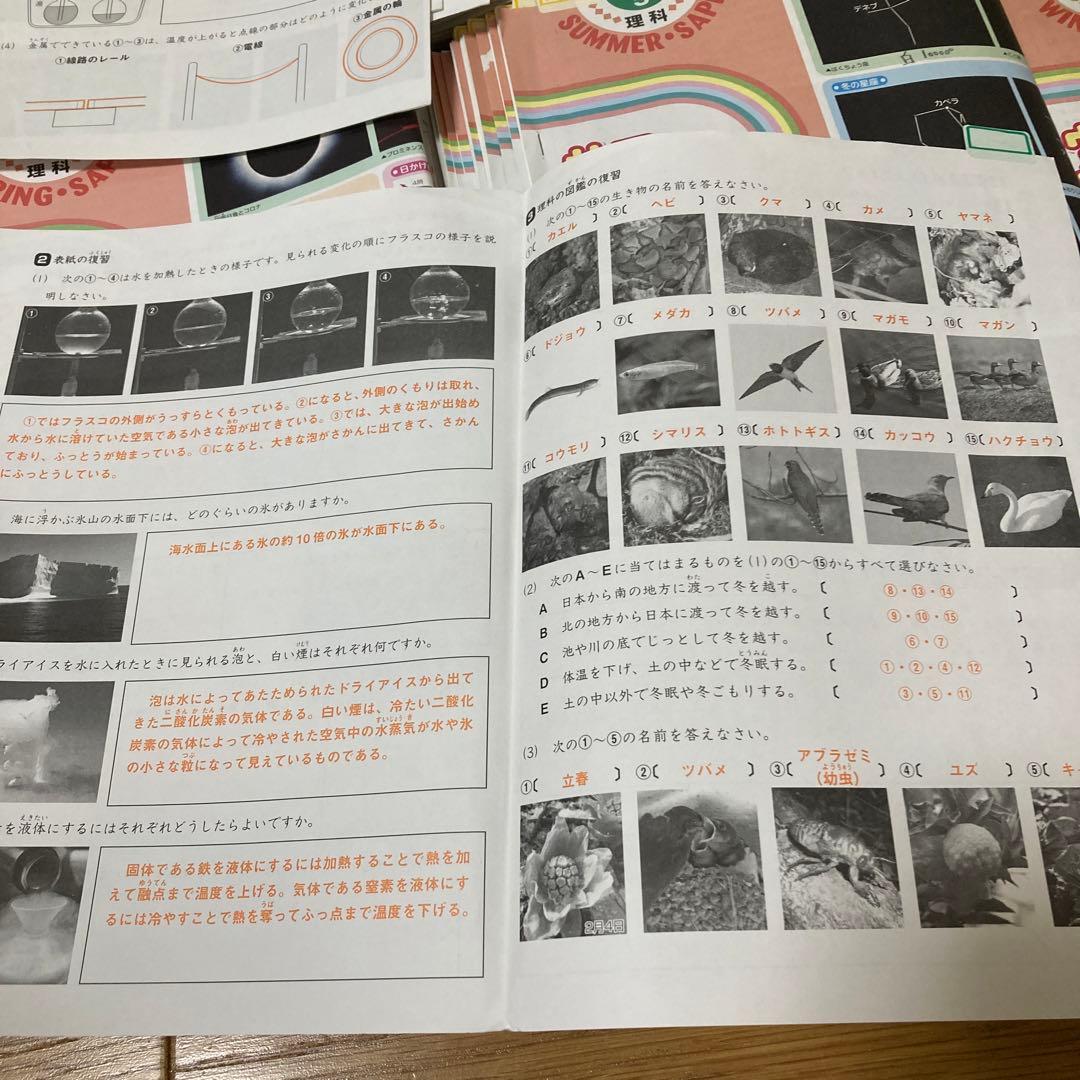 完全】SAPIX5年 理科テキスト1年分：ポイントチェック・デイリー