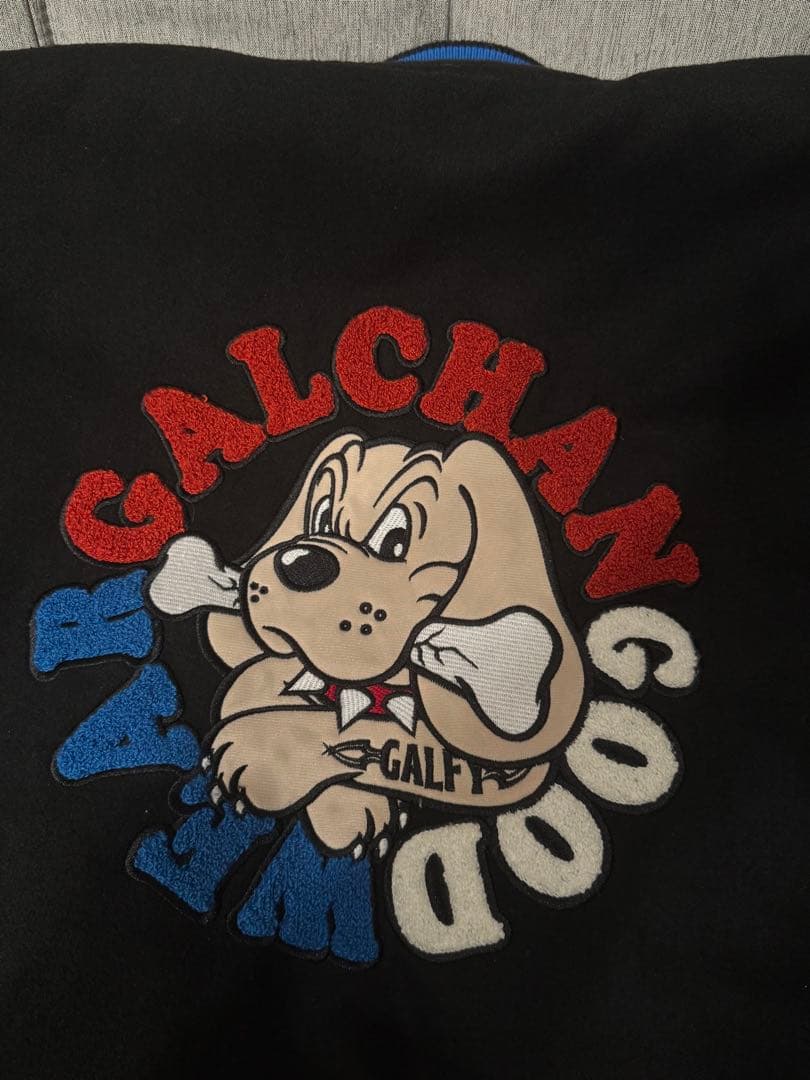 ！最終値下げ！GALFY/ガルフィー2代目わんわん大学JKT