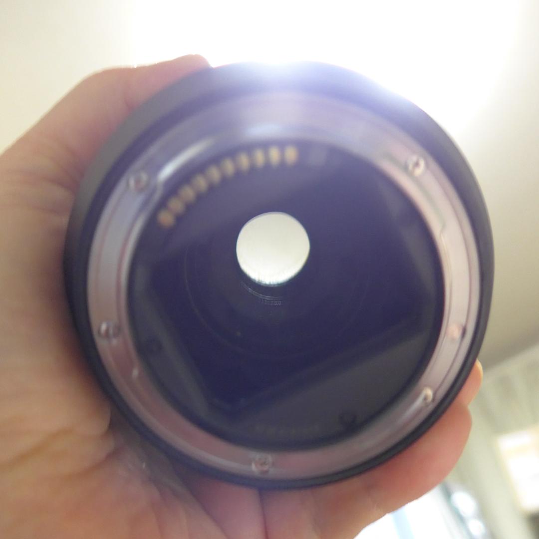 【ジャンク】LUMIX S 24-105mm F4 MACRO O.I.S.