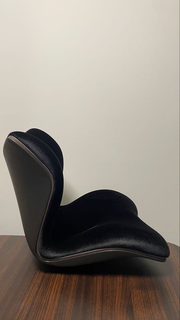 スタイルプレミアムデラックス ブラック(Style PREMIUM DX)