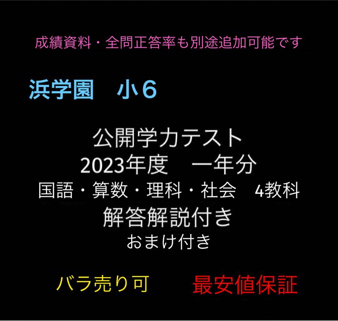 浜学園 小6 公開テスト 国算理社4教科 解答解説・おまけ付 2023年度1年