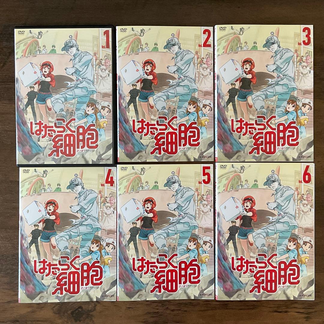 極美品『 はたらく細胞 全7巻 』 DVD 、完全生産限定版Blu-ray