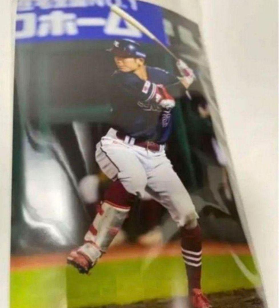 しろくま楽天イーグルス　岡島豪郎　実使用ヘルメット　球団ホログラム付き