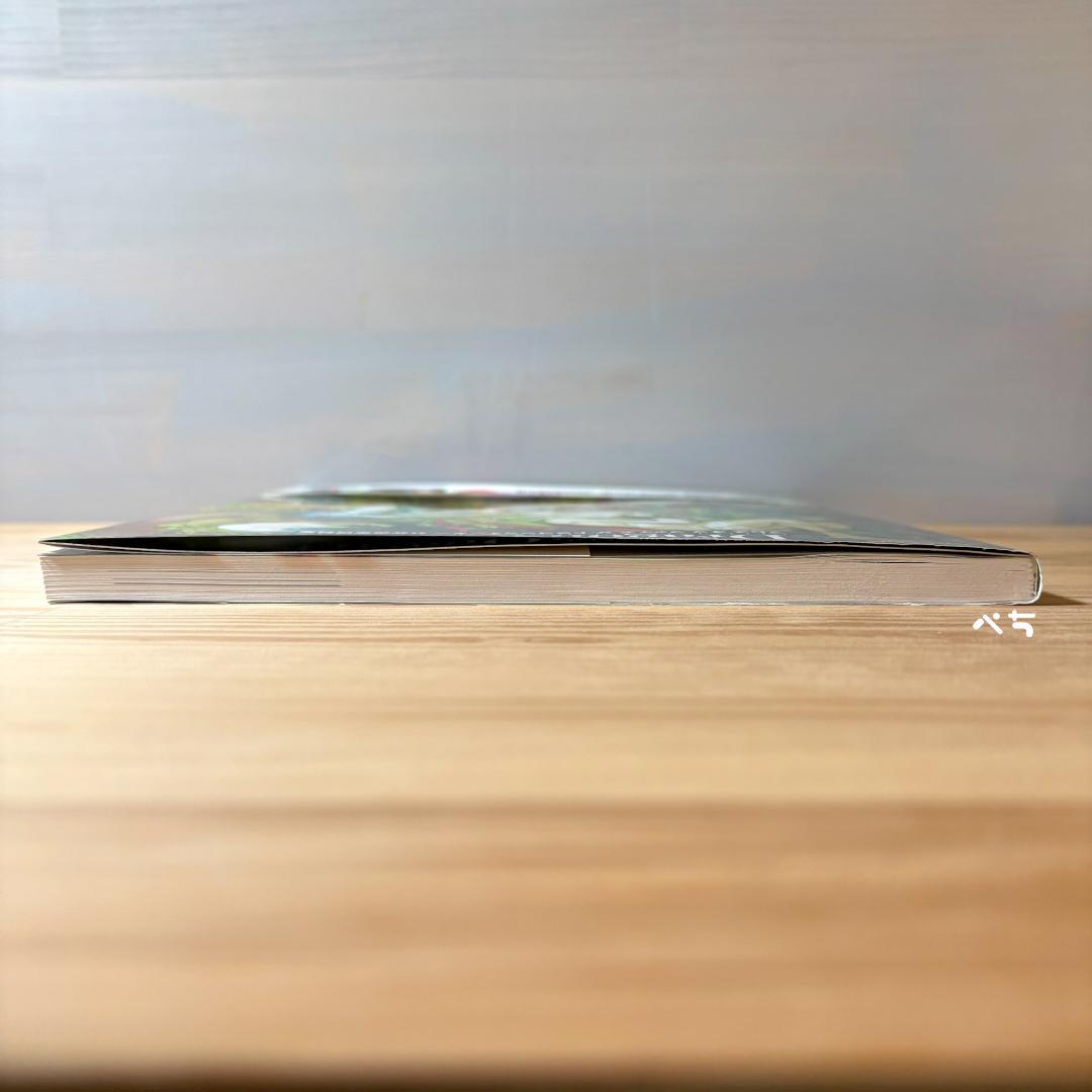 【設定資料集】ブレスオブファイア 5 ドラゴンクォーター 公式設定資料集