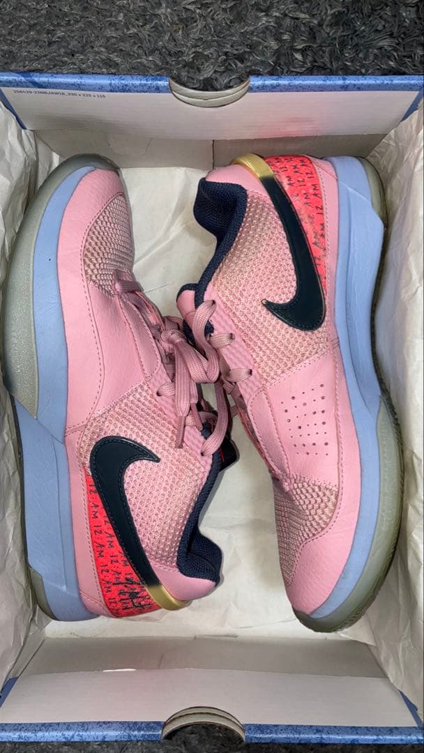 Nike Ja 1 バッシュ　【レア】26.0cm ピンク