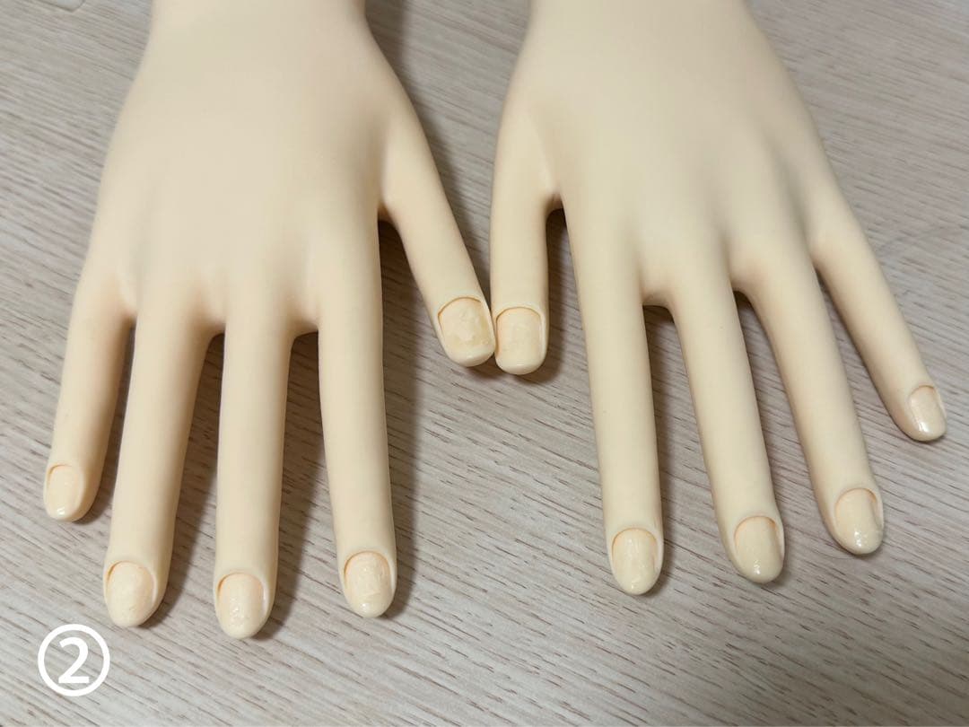 認定モデルハンド STモデルハンド ネイルチップ