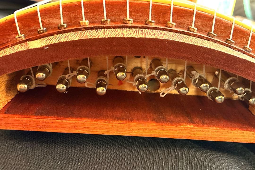 ゼンオン 文化箏 羽衣 初心者セット 文化箏入門　ソフトケース付き