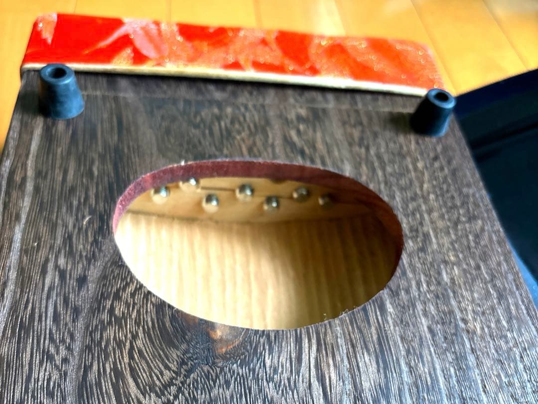 ゼンオン 文化箏 羽衣 初心者セット 文化箏入門　ソフトケース付き