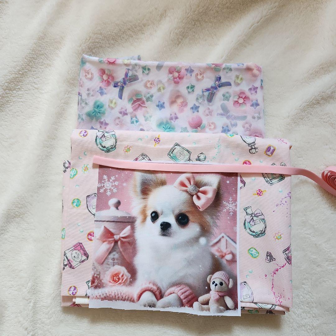 ななちゃん　①-1