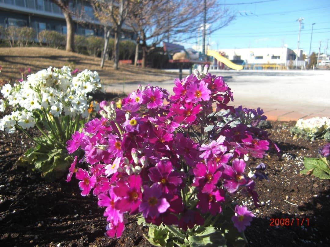 実写美⭕️良品【動作確認済】CASIO EXILIM EX-Z100 シルバー